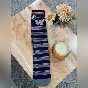 University of Washington Men's Casual Socks - Purple, Gold and Gray Stripes